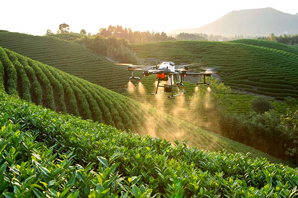 Design And Fabrication Of Drone Based Pesticide Sprayer