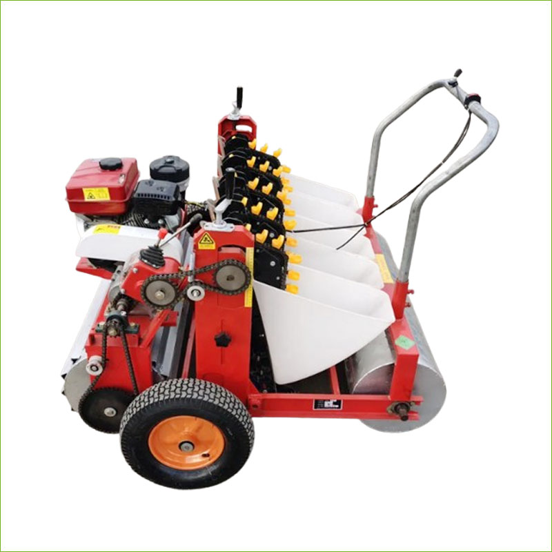 jardinière à l'ail