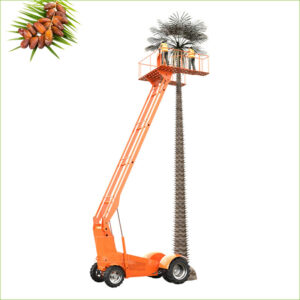 dates picking machine