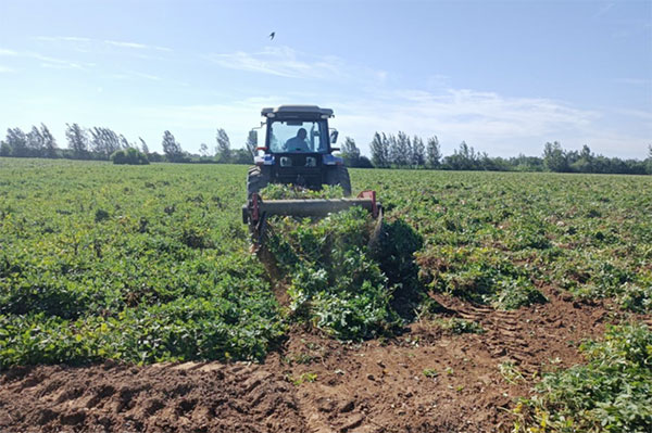 Peanut Harvester For Sale South Africa