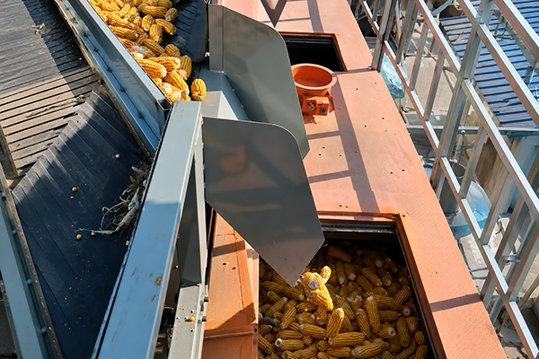 corn cob dryer details